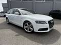 Audi A4 3.0 TDI Avant Quattro S-line Weiß - thumbnail 2