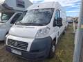 Fiat Ducato Klima Hoch Lang wenig Km Blanc - thumbnail 2