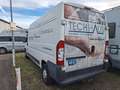 Fiat Ducato Klima Hoch Lang wenig Km Blanc - thumbnail 5