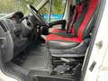 Fiat Ducato Klima Hoch Lang wenig Km Blanc - thumbnail 6