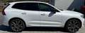 Volvo XC60 XC60 B4 Plus Dark AWD Geartronic Plus Dark Weiß - thumbnail 3