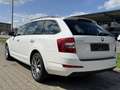 Skoda Octavia - thumbnail 15