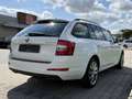 Skoda Octavia - thumbnail 14