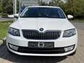 Skoda Octavia - thumbnail 12