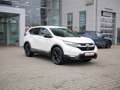 Honda CR-V 2.0 i-MMD HYBRID SPORT LINE NAVI+LEDER+ACC Weiß - thumbnail 5