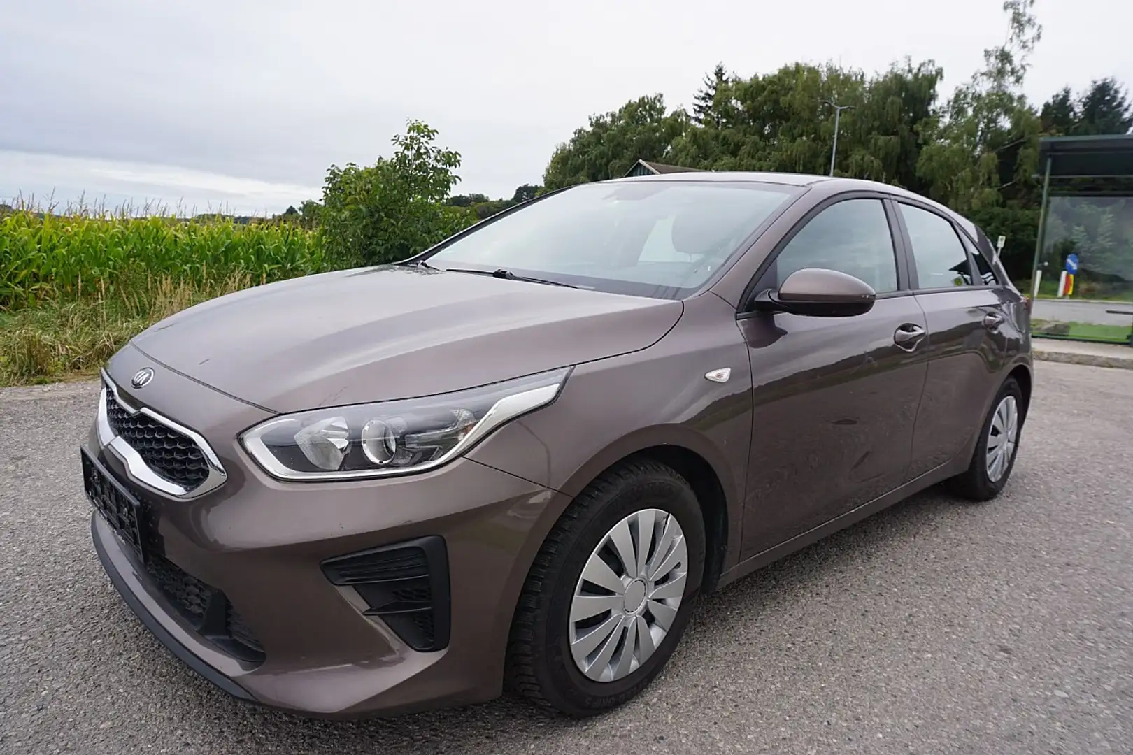 Kia Ceed / cee'd cee'd / Ceed ceed 1,4 MPI GPF Titan Braun - 2