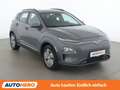 Hyundai KONA electric drive 100 kW 2WD Grau - thumbnail 8
