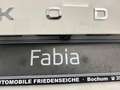 Skoda Fabia ''Drive'' 1.0 MPI 59 KW Clima PDC Kamera Blanco - thumbnail 18