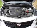 Cadillac XT4 XT4 350D AWD Premium Luxury Blanc - thumbnail 4