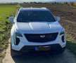 Cadillac XT4 XT4 350D AWD Premium Luxury Blanc - thumbnail 1