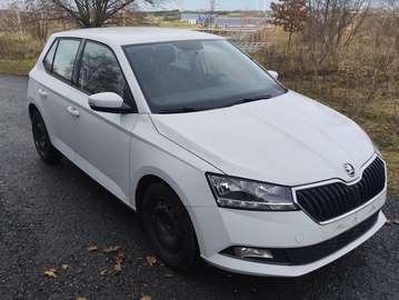 Fabia III 1.0 TSI 36 Monate Car Garantie