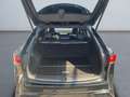 Lexus F SPORT+ *Allrad*360Grad*Pano*M Levinson* Schwarz - thumbnail 18