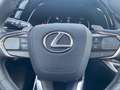 Lexus F SPORT+ *Allrad*360Grad*Pano*M Levinson* Schwarz - thumbnail 14