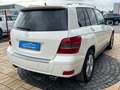 Mercedes-Benz GLK 220 CDI BlueEfficiency 4Matic+TÜV NEU+Garantie+ Blanc - thumbnail 6