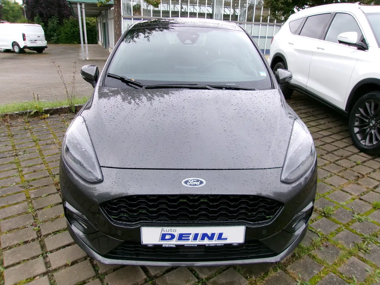 Ford Fiesta ST-Line Grigio - 2