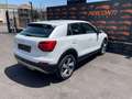 Audi Q2 30TDI S-TRONIC ADVANCED LED NAVI CAMERA BI-ZONA Bianco - thumbnail 7