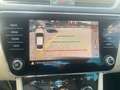 Skoda Superb 4x4 Style TDI DSG Braun - thumbnail 19