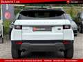 Land Rover Range Rover Evoque (2) 2.0 TD4 4X4 180 CV BVA9 Alb - thumbnail 6