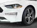 Ford Mustang Convertible 2.3 Eco Boost Aut. Bianco - thumbnail 5