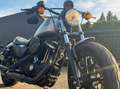 Harley-Davidson Sportster Iron 883 **Miller-Auspuff** Zilver - thumbnail 6