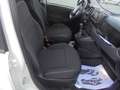 Fiat Panda Panda 1.0 firefly hybrid VAN  2 POSTI Bianco - thumbnail 8