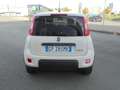 Fiat Panda Panda 1.0 firefly hybrid VAN  2 POSTI Bianco - thumbnail 5