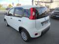 Fiat Panda Panda 1.0 firefly hybrid VAN  2 POSTI Bianco - thumbnail 6