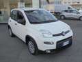 Fiat Panda Panda 1.0 firefly hybrid VAN  2 POSTI Bianco - thumbnail 3