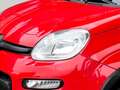 Fiat Panda TwinAir Turbo 85 4x4 Wild Wild Rot - thumbnail 5