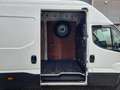 Iveco Daily 70C18 3.0D L4H3 Hi-Matic Euro 6 GVW 7000 kg Blanc - thumbnail 22