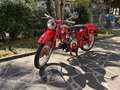 Moto Guzzi Airone Rouge - thumbnail 11