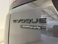 Land Rover Range Rover Evoque Autobiography 204cv IVA ESPOSTA Gris - thumbnail 18