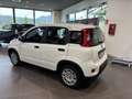 Fiat Panda 1.0 firefly hybrid s Bleu - thumbnail 2