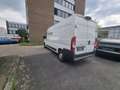 Peugeot Boxer Boxer Premium BlueHD 335 L3H2 Weiß - thumbnail 6