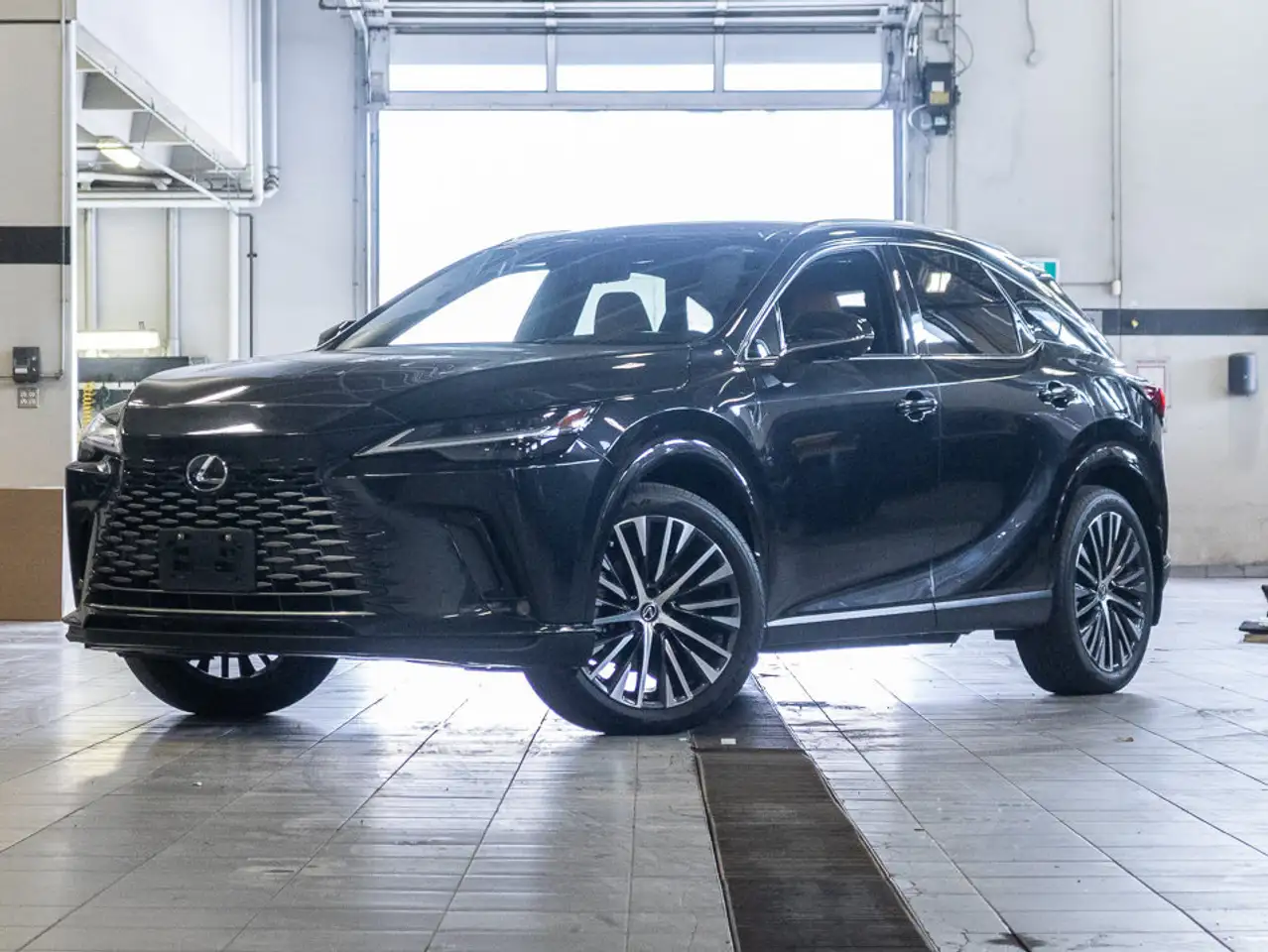2024 Lexus RX