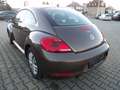 Volkswagen New Beetle Sondermodel Käfer Klima Sitzh. Temp. HU AU Neu Brun - thumbnail 7