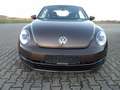 Volkswagen New Beetle Sondermodel Käfer Klima Sitzh. Temp. HU AU Neu Brun - thumbnail 2