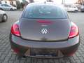 Volkswagen New Beetle Sondermodel Käfer Klima Sitzh. Temp. HU AU Neu Brun - thumbnail 8