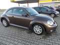 Volkswagen New Beetle Sondermodel Käfer Klima Sitzh. Temp. HU AU Neu Brun - thumbnail 4
