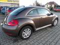 Volkswagen New Beetle Sondermodel Käfer Klima Sitzh. Temp. HU AU Neu Brun - thumbnail 6