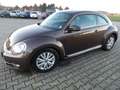 Volkswagen New Beetle Sondermodel Käfer Klima Sitzh. Temp. HU AU Neu Brun - thumbnail 5
