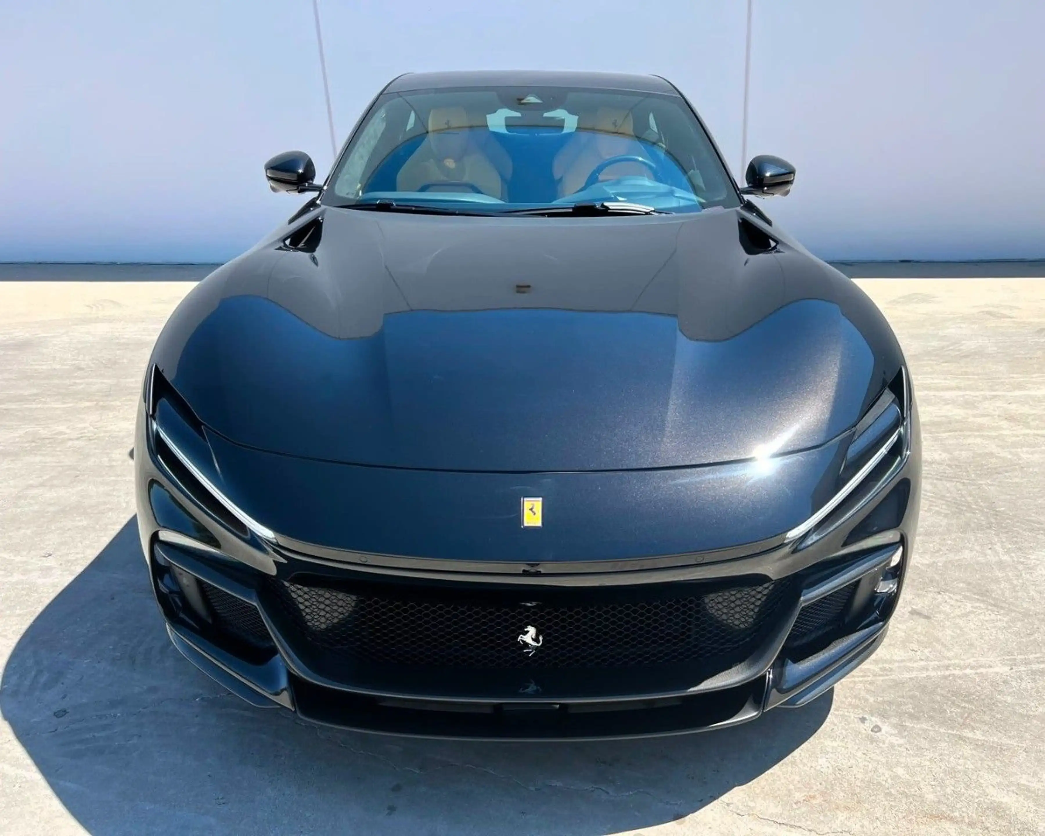 Ferrari Purosangue °Full Carbon°Liftsystem°Blanko COC° — photo 7