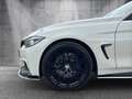 BMW 440 i Luxury Line Traum-Cabrio Weiß - thumbnail 22
