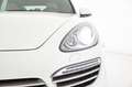 Porsche Cayenne Cayenne 3.0 Diesel Bianco - thumbnail 12