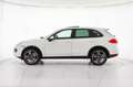 Porsche Cayenne Cayenne 3.0 Diesel Bianco - thumbnail 3