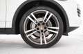 Porsche Cayenne Cayenne 3.0 Diesel Bianco - thumbnail 11