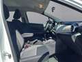 Nissan Micra Visia Weiß - thumbnail 15