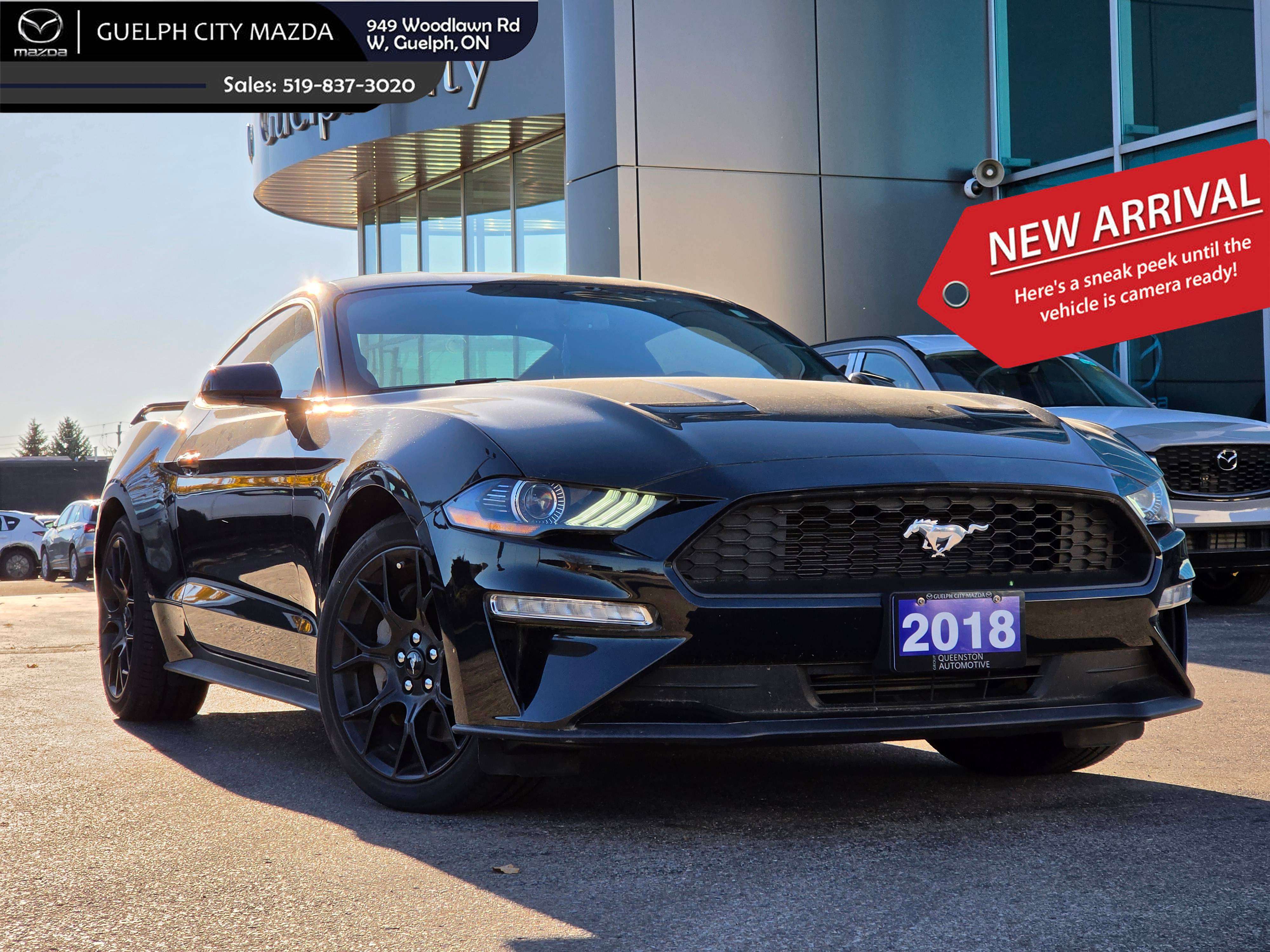 Black 2018 Ford Mustang Coupe Rear-Wheel Drive 6-Speed Manual