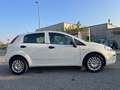 Fiat Punto Punto 5p 1.2 Easy Wit - thumbnail 3