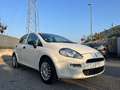 Fiat Punto Punto 5p 1.2 Easy Wit - thumbnail 4